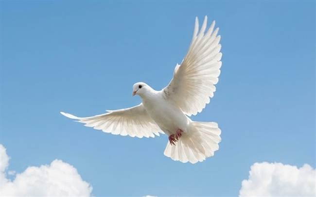 Gedenken en herinnering